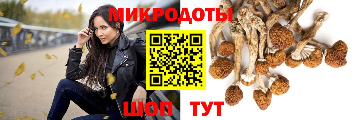 Советская Гавань  Псилоцибиновые грибы Magic Shrooms  Вход с VPN  Галлюциногенные грибы MAGIC MUSHROOMS 