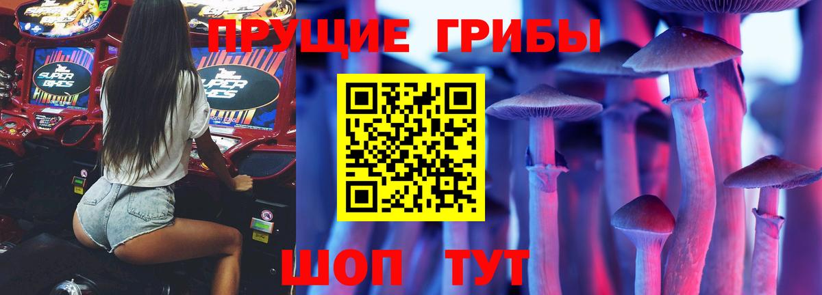 Псилоцибиновые грибы MAGIC MUSHROOMS Советская Гавань